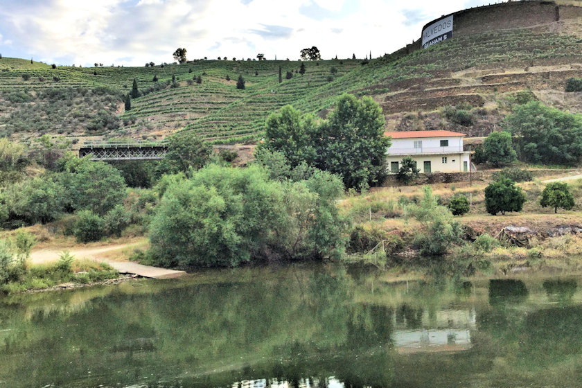 Along the Douro    photograph